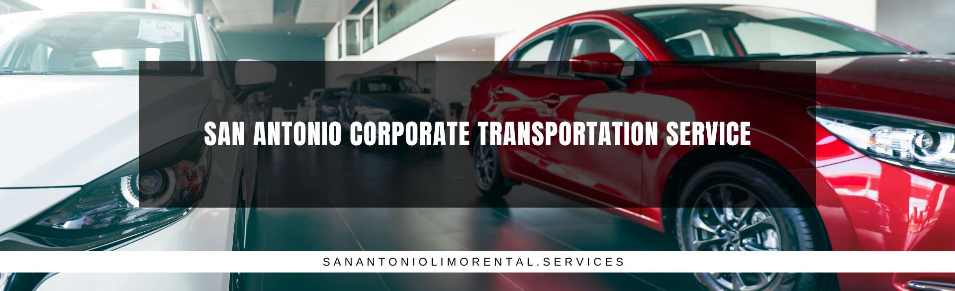 San Antonio Corporate Transportation Service