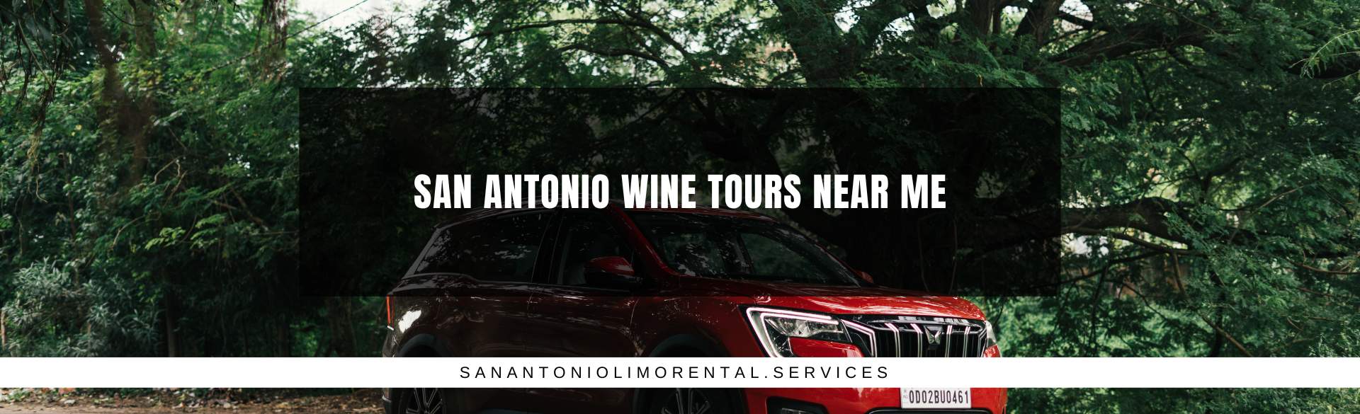 San Antonio Wine Tours