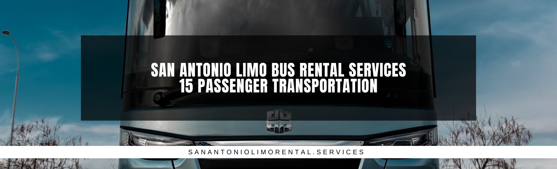 San Antonio Limo Bus Rental Services 15 passenger Transportation
